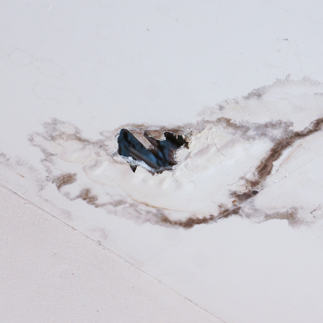 Moisture-damaged ceiling