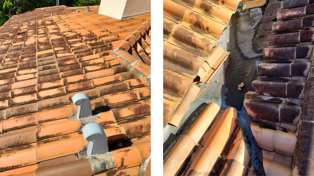 Your 2026 Ready-Home Checklist: Roof Warning Signs You Can Spot From the Ground
