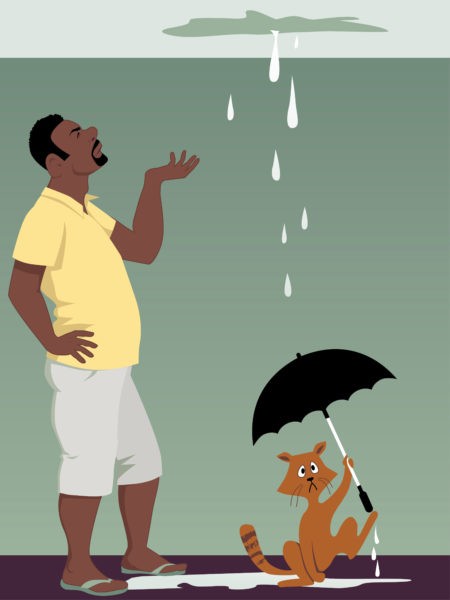 You’ve Got A Leaky Roof…Now What?