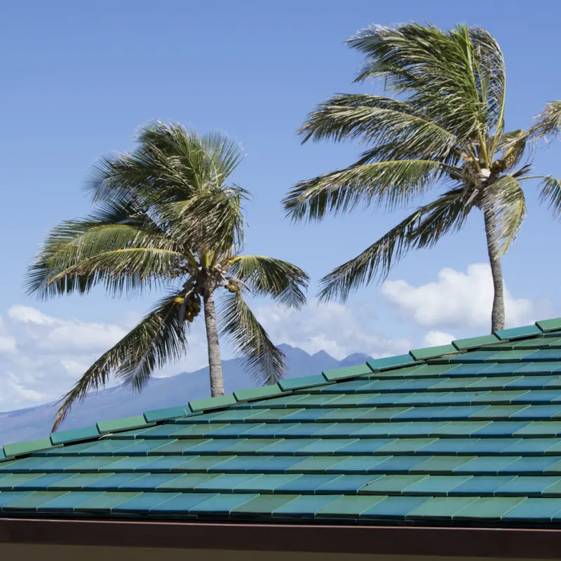 Green Ludowici clay tile roof beneath wind-swept palm trees