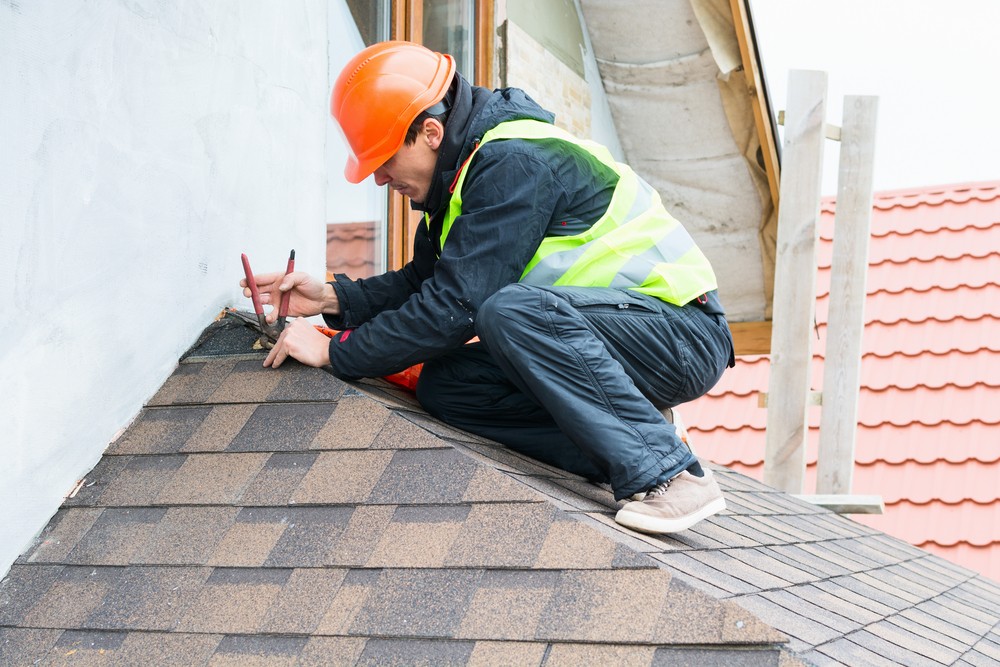 professional fixing roof