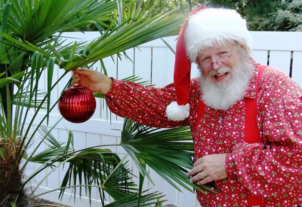 Istueta-Roofing-Santa-Claus-Decorating-a-Palm-Tree