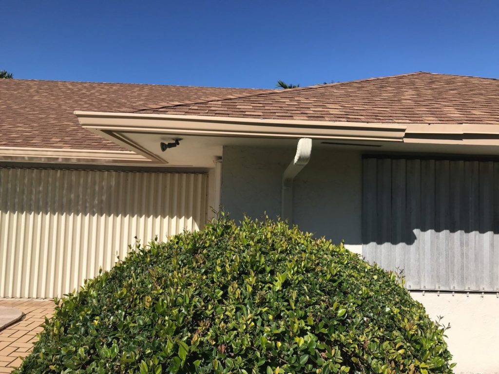 Shingle Roof